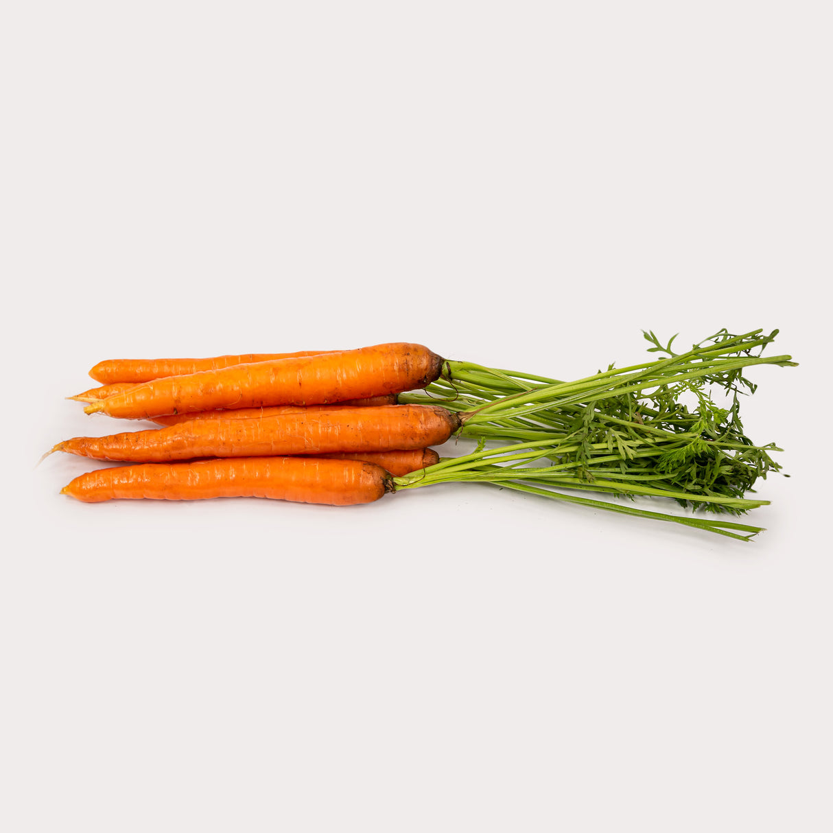 Local Carrots, Bunched