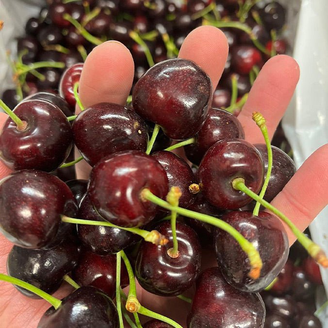 Local Cherries