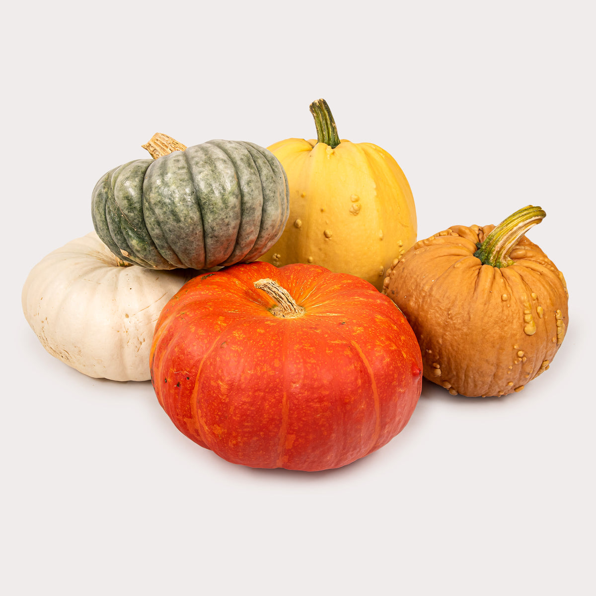 Local Pumpkin, Heirloom