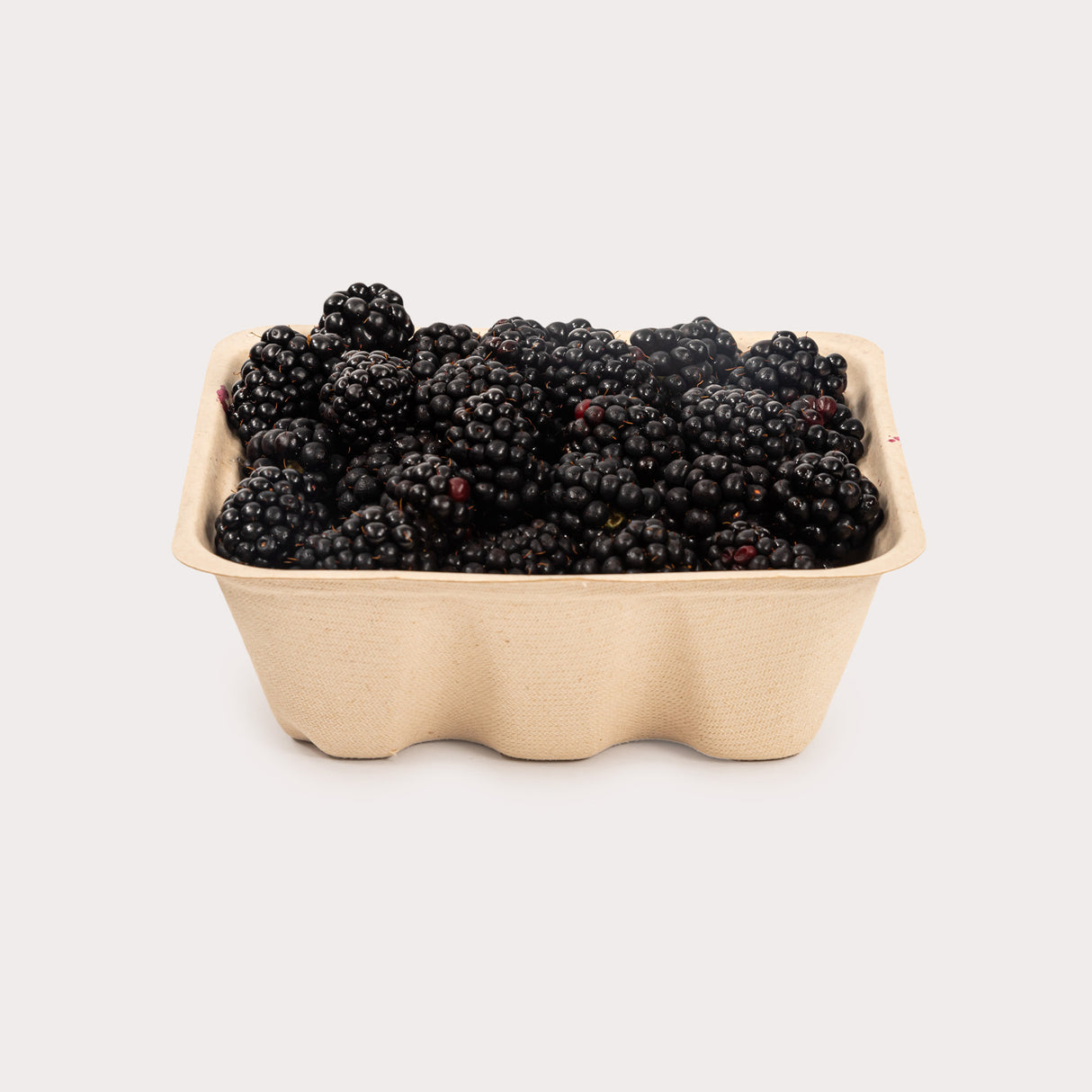 Local Blackberries