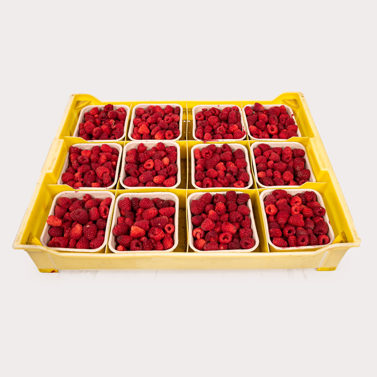 Local Raspberries, Case Lot