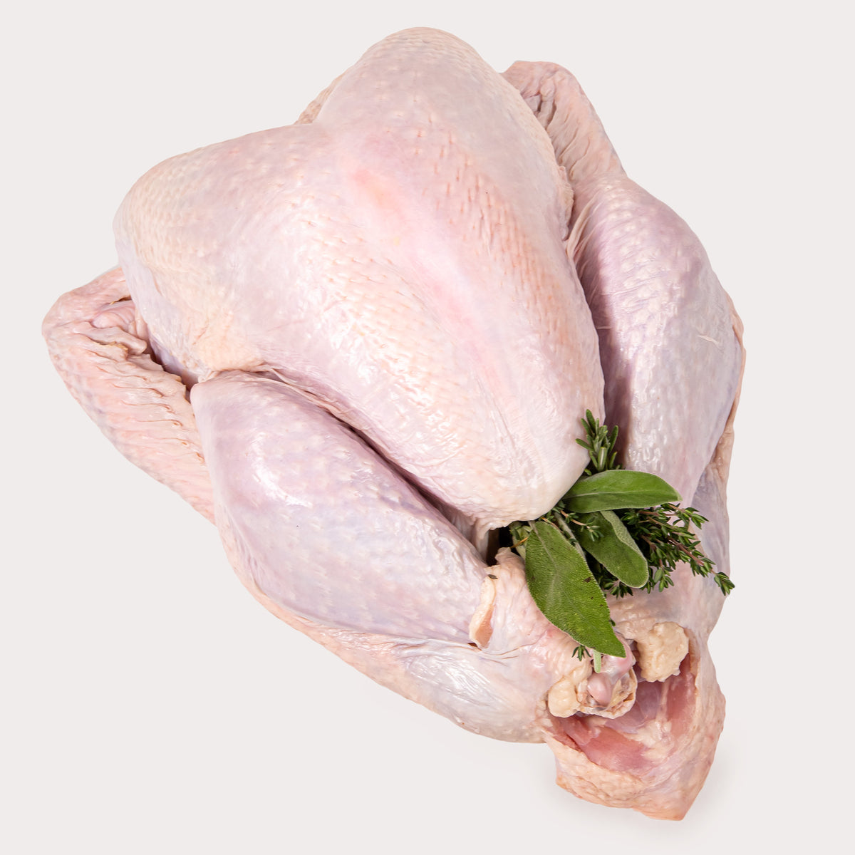 Free Range Turkey, Fresh