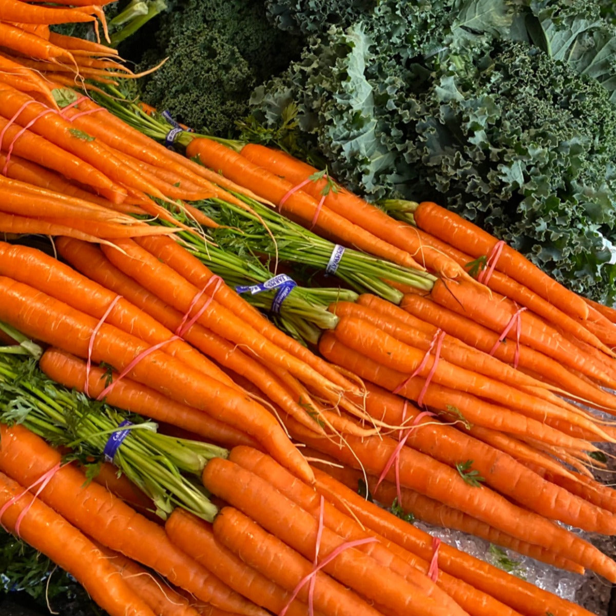 Bunched carrots tied together on ice and next to kale on display.
