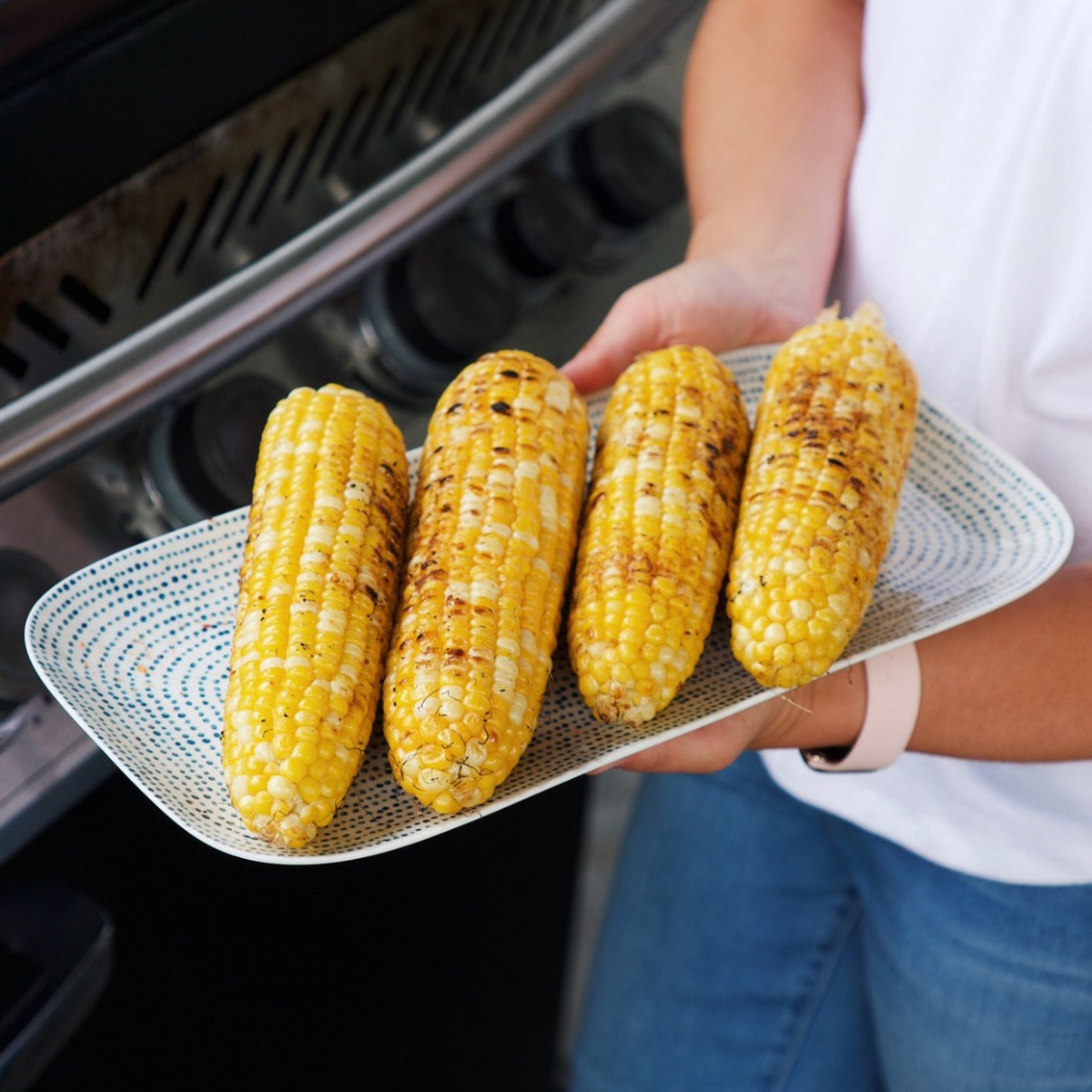 Four pieces of grilled corn on the cob being presented to eat on a plate.