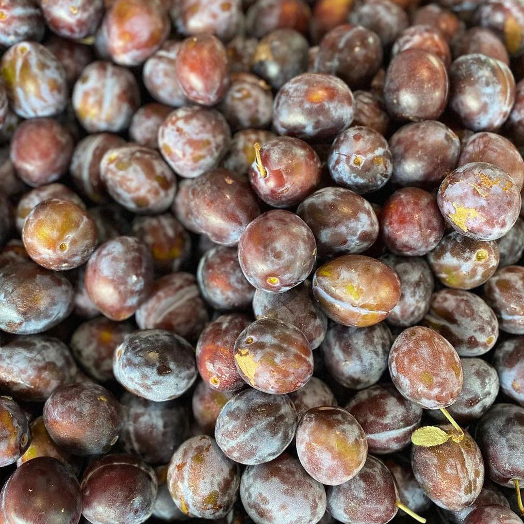A mound of black plums up close