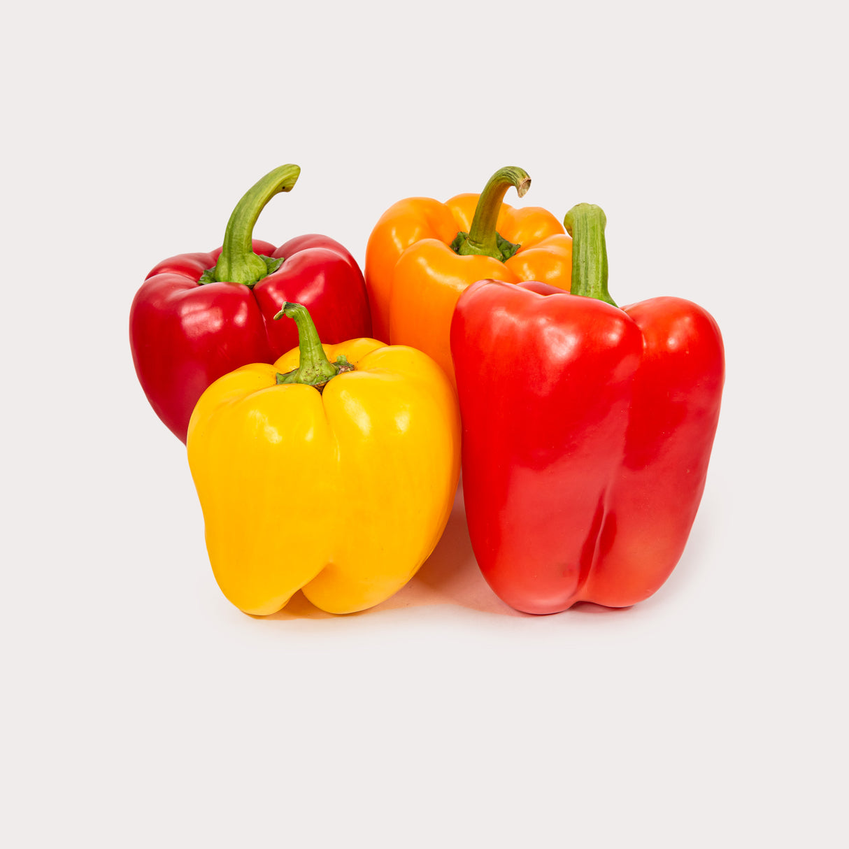 Peppers, Mixed Bell