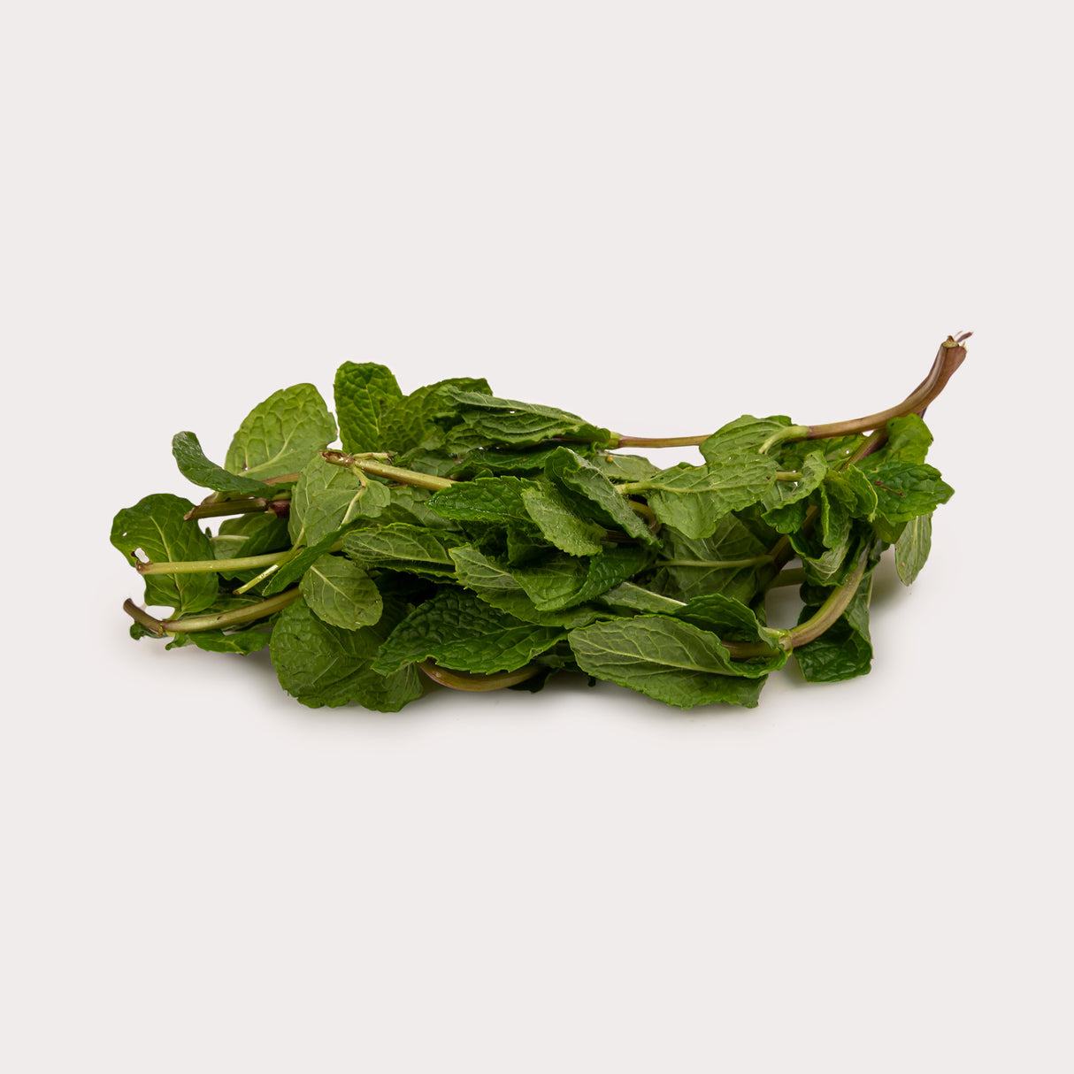 Organic Fresh Herbs, Mint