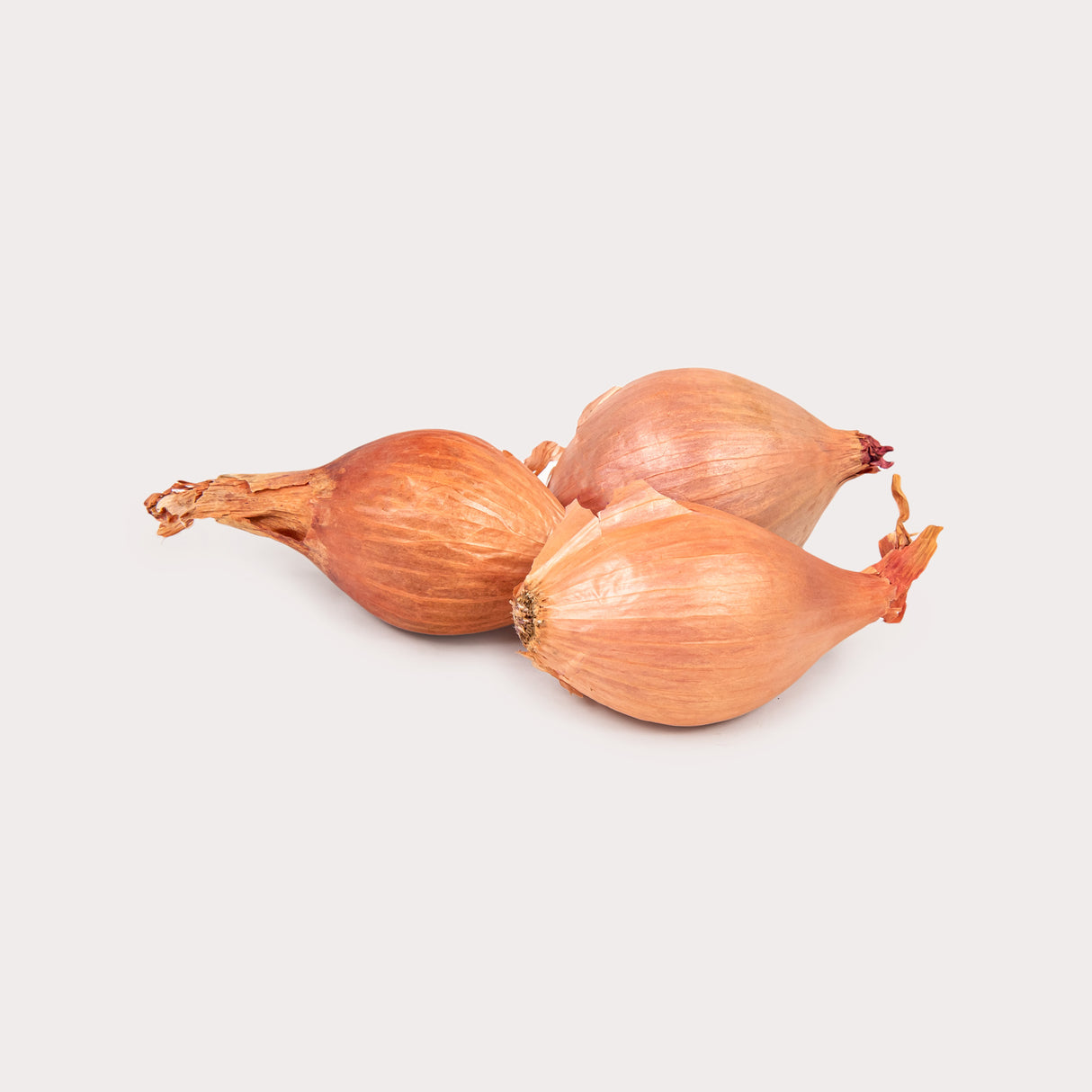 Shallots