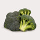 Fresh Veggies
