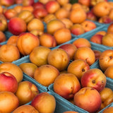 Local Apricots