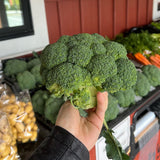 Local Broccoli, Crowns