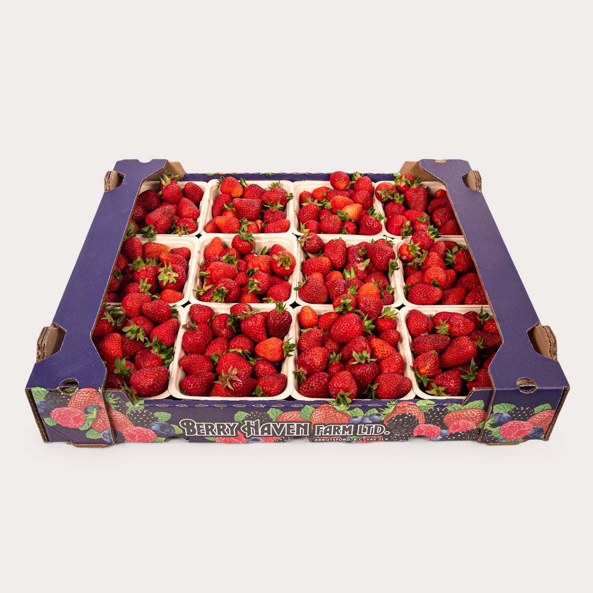 Local Strawberries, Case Lot