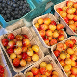 Local Cherries, Rainier
