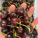 Local Cherries