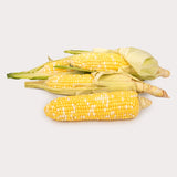 Local Corn, Sweet