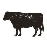 Our Grass-Fed & Finished Beef