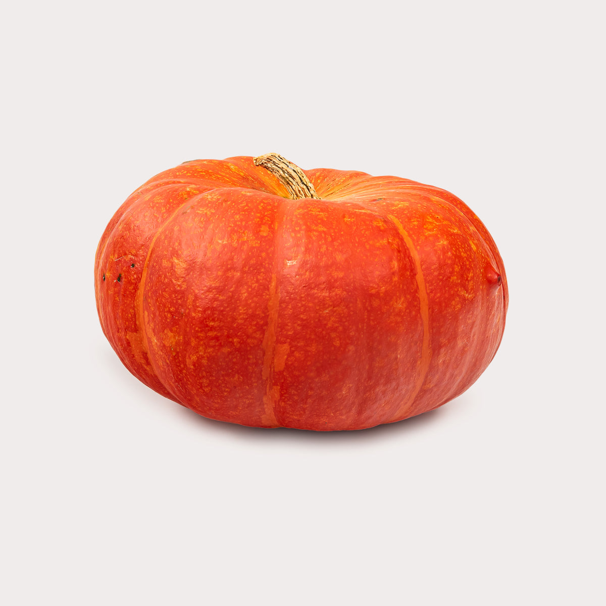 Local Pumpkin, Heirloom