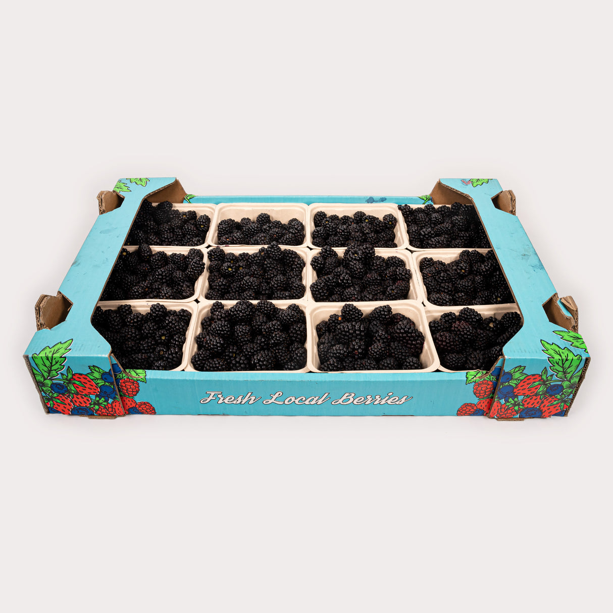 Local Blackberries, Case Lot