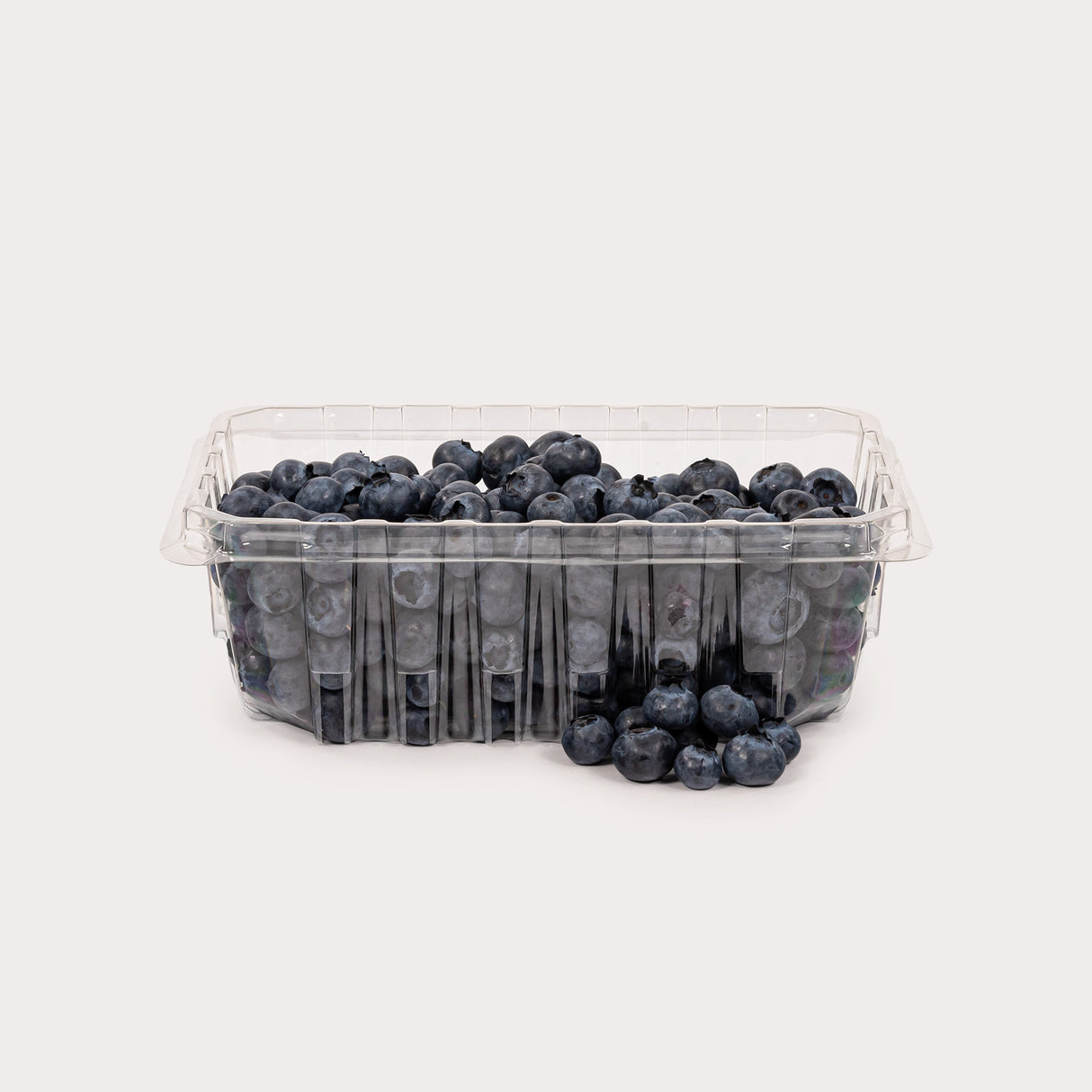 Local Blueberries