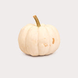 Local Pumpkin, Mini