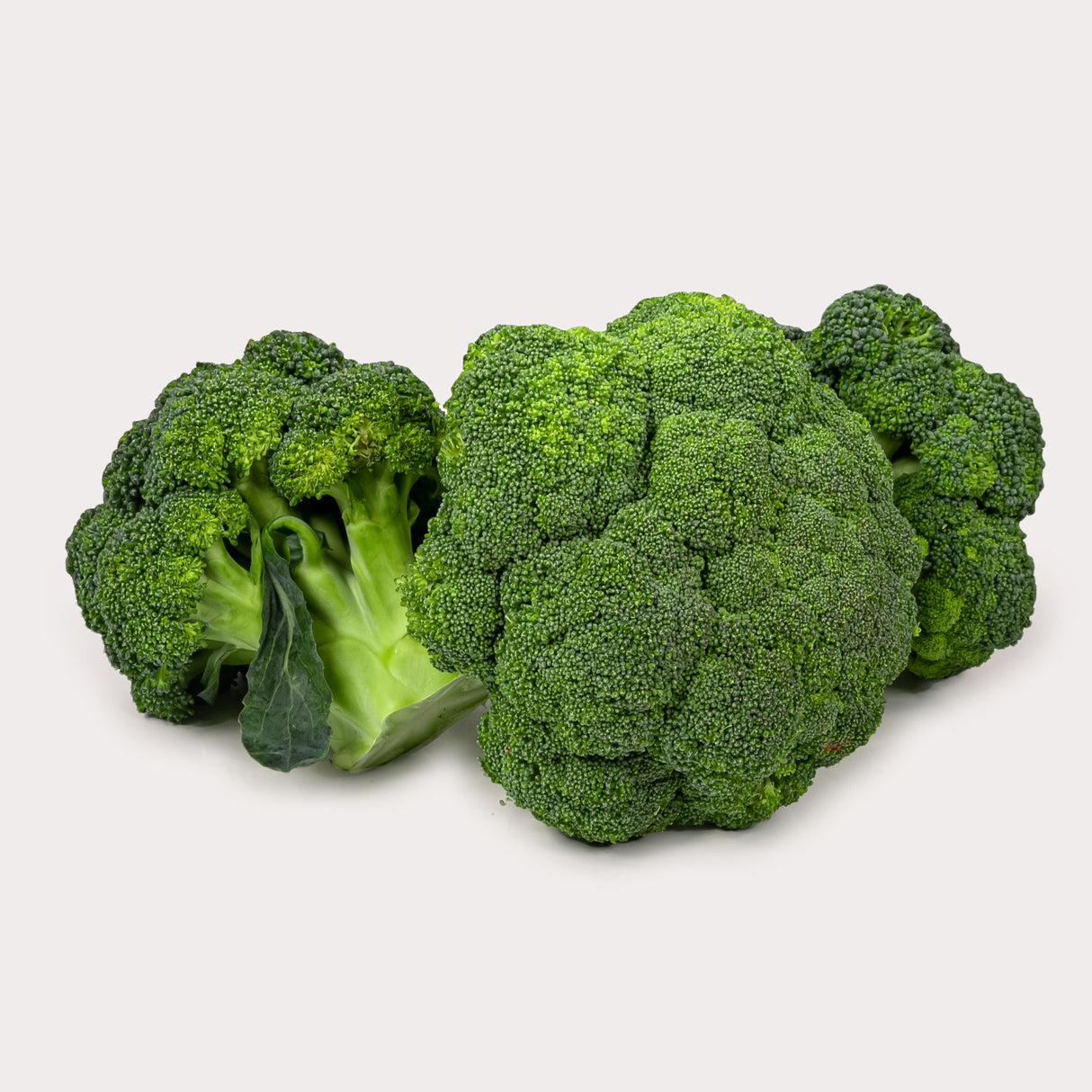 Organic Broccoli, Bunched