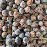 Local Plums, Prune
