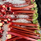 Local Rhubarb