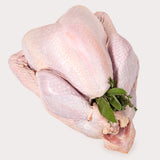 Free Range Turkey, Fresh