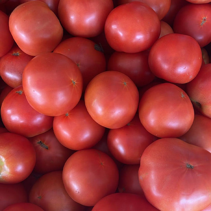 Local Tomatoes, Field