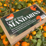 Mandarins, Leaf & Stem