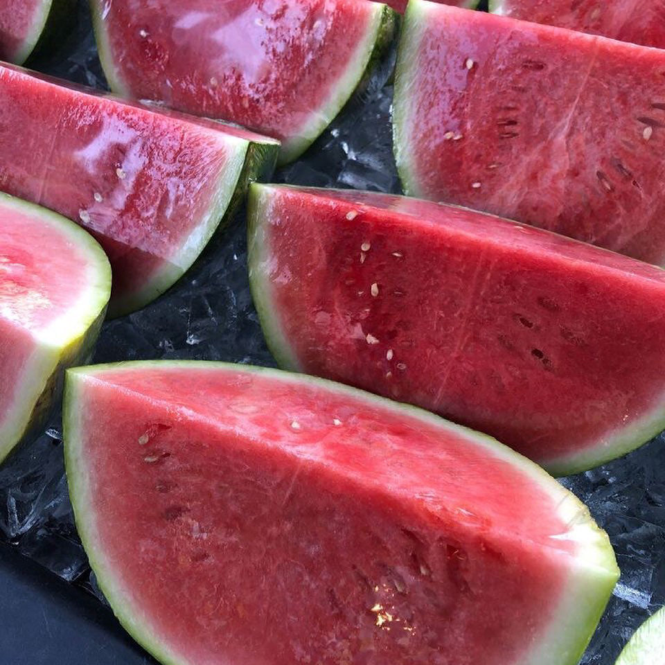 Rows of quarter sliced mini watermelons on ice and up close