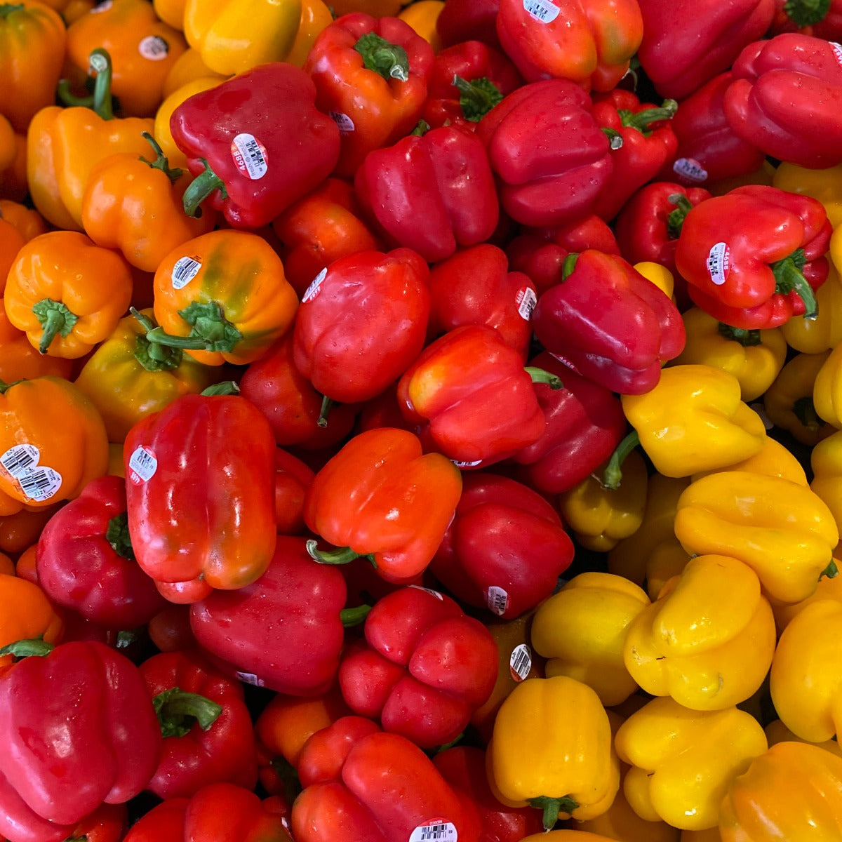 Mound of red peppers next to orange peppers and yellow peppers. 
