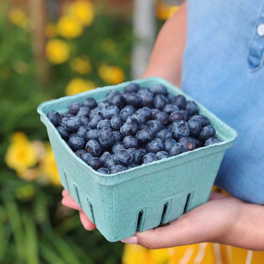 A small box of fresh local blueberries held up close to the camera.