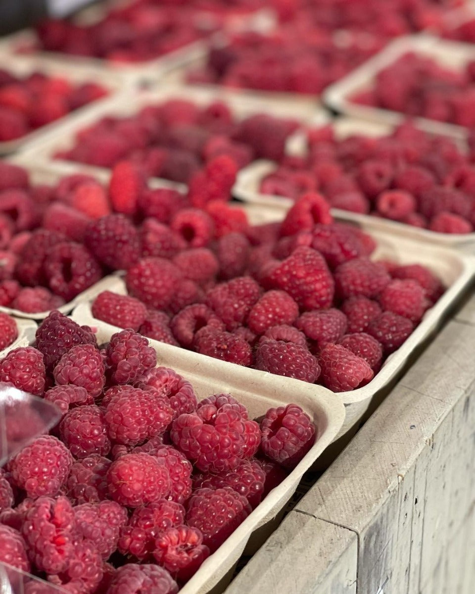 Close up of small boxes of local fresh raspberries