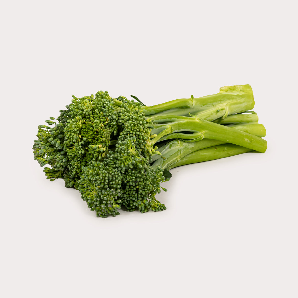 Broccolini