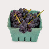 Local Grapes, Coronation