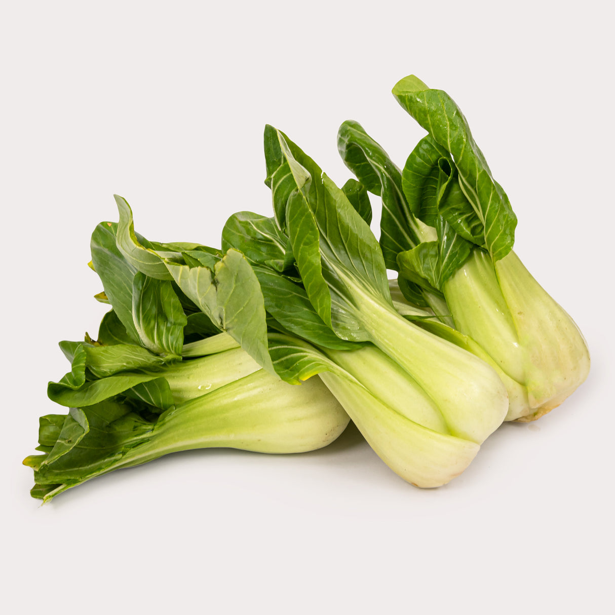 Bok Choy, Shanghai