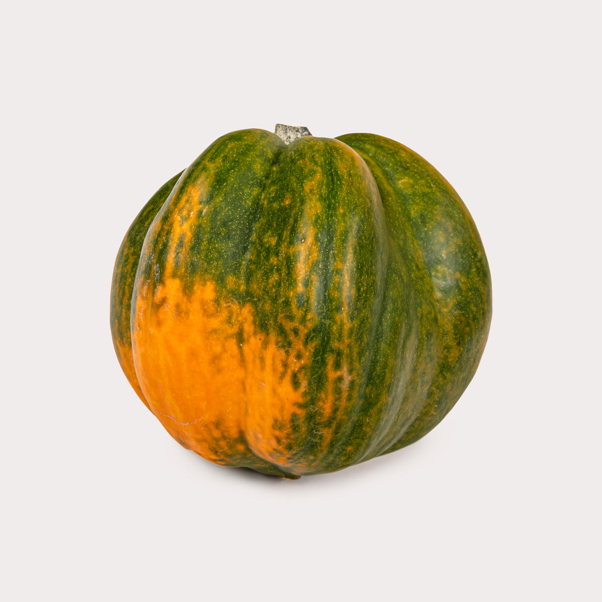 Squash, Acorn