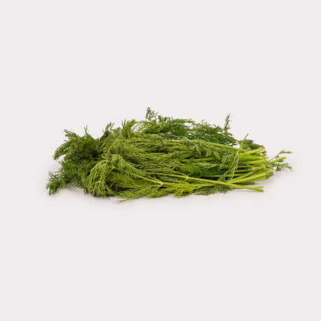 Organic Fresh Herbs, Baby Dill