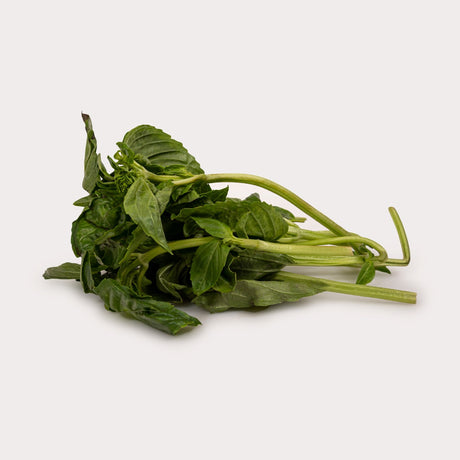 Organic Fresh Herbs, Basil