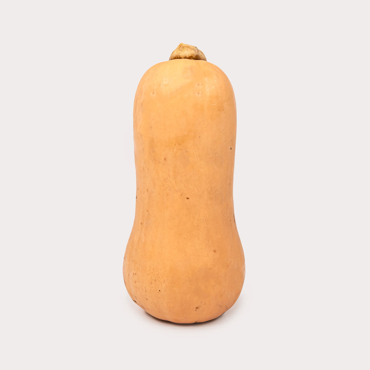 Squash, Butternut