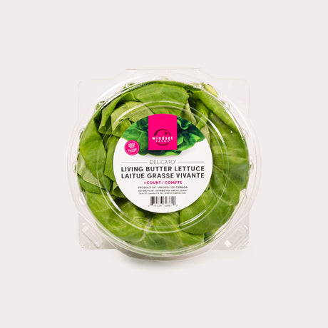 Lettuce, Butter Living