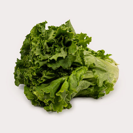 Lettuce, Green Leaf