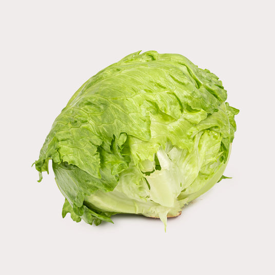 Lettuce, Iceberg
