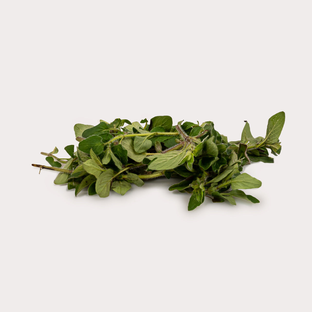 Organic Fresh Herbs, Oregano