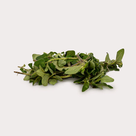 Organic Fresh Herbs, Oregano