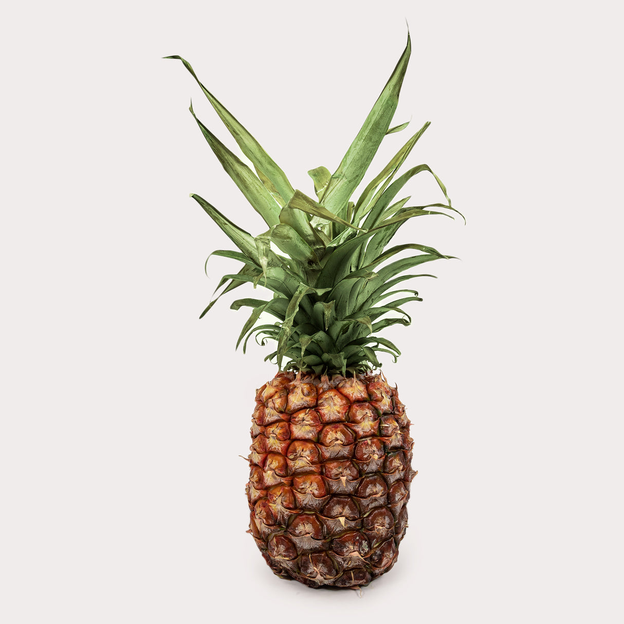 Pineapples