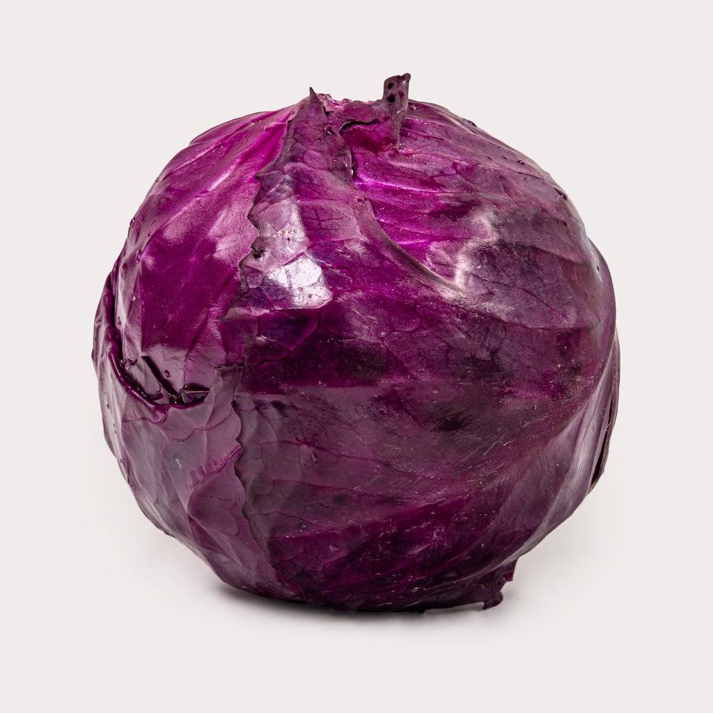 Local Cabbage, Red