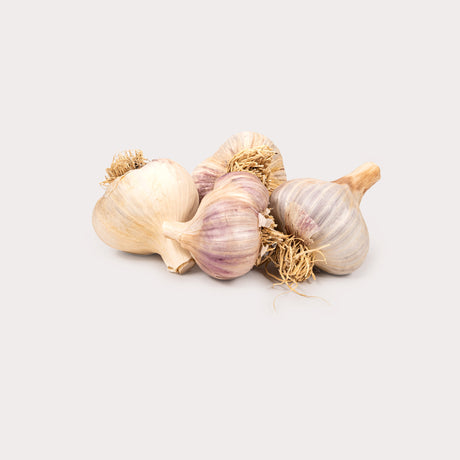 Local Garlic, Red Russian