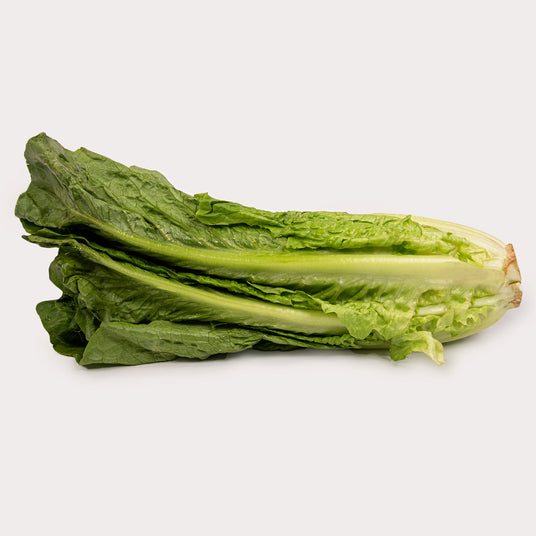 Lettuce, Romaine